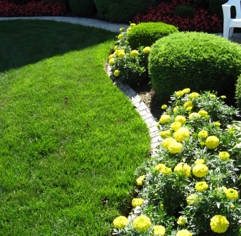 Gardens & Maintenance